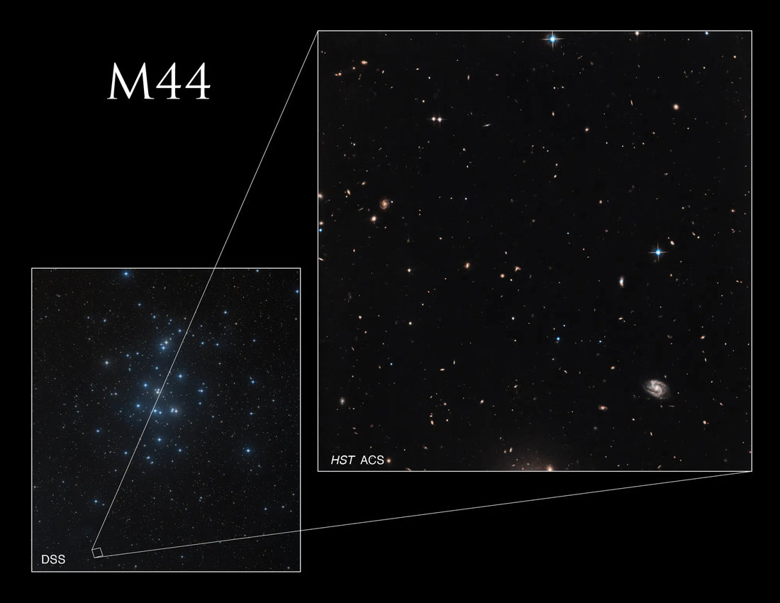 Astronz Object of the Week: The Beehive Cluster (M44)