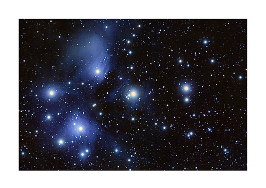 Matariki Prints