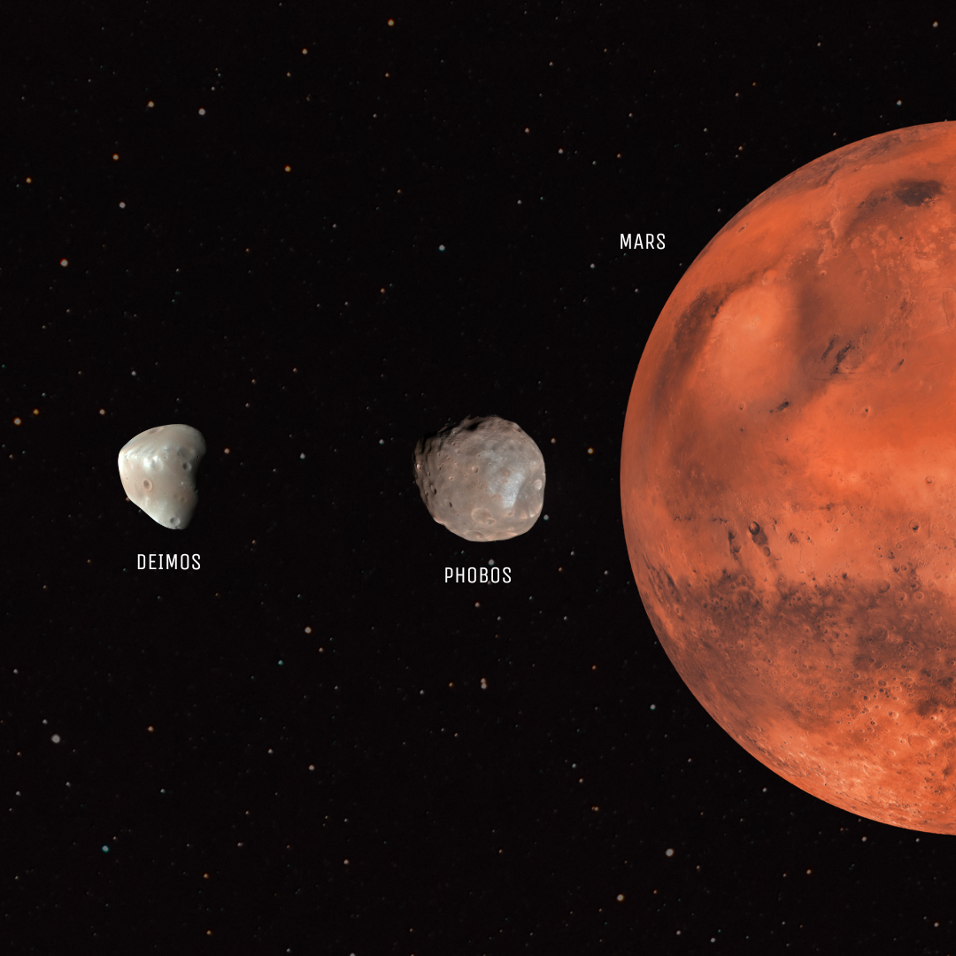 Solar System: The Martian System